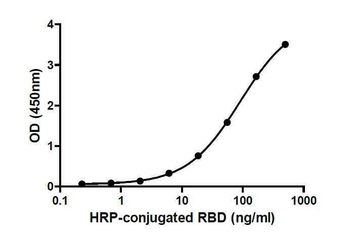 Binding ability measured in a functional ELISA. 2019-nCoV RBD (K417T, E484K, N501Y) binds to immobilized human ACE2 (19-740) protein.